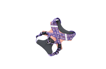 BOBO Series Wrap-Style Adjustable Dog Harness