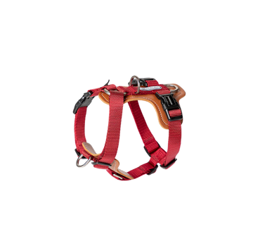 BOBO Series H-Shaped Dog Harness