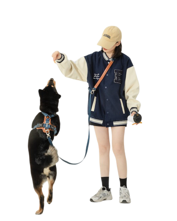 BOBO Series Hands-Free Walking Set
