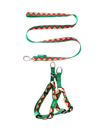 Rainbow Series Walk Set (Harness)