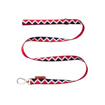 Rainbow Series Dog Leash