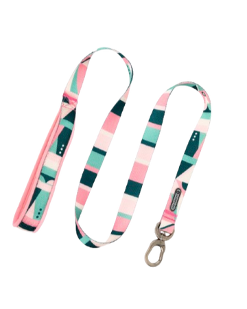 Castle Series Soft Handle Dog Leash