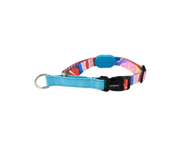 Vibrant Pro Series Anti-Pull Half P Dog Collar