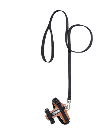 BOBO Series Leather Cat Harness and Leash Walk Set