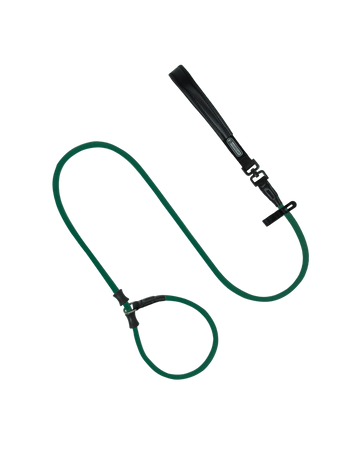 BOBO Series Leather Handle One-Piece Dog Training Leash