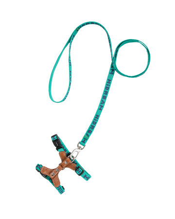 BOBO Series Reflective Leather Cat Harness and Leash Walk Set