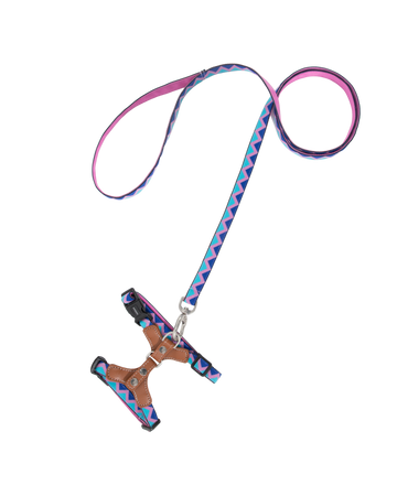 BOBO Series Adjustable Leather Back Cat Harness & Leash Walk Set