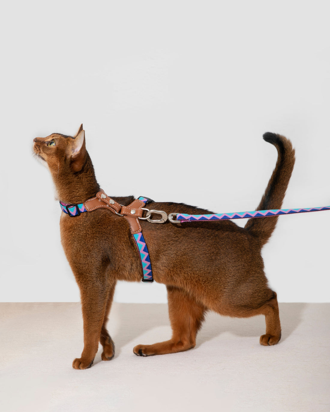 BOBO Series Adjustable Leather Back Cat Harness & Leash Walk Set