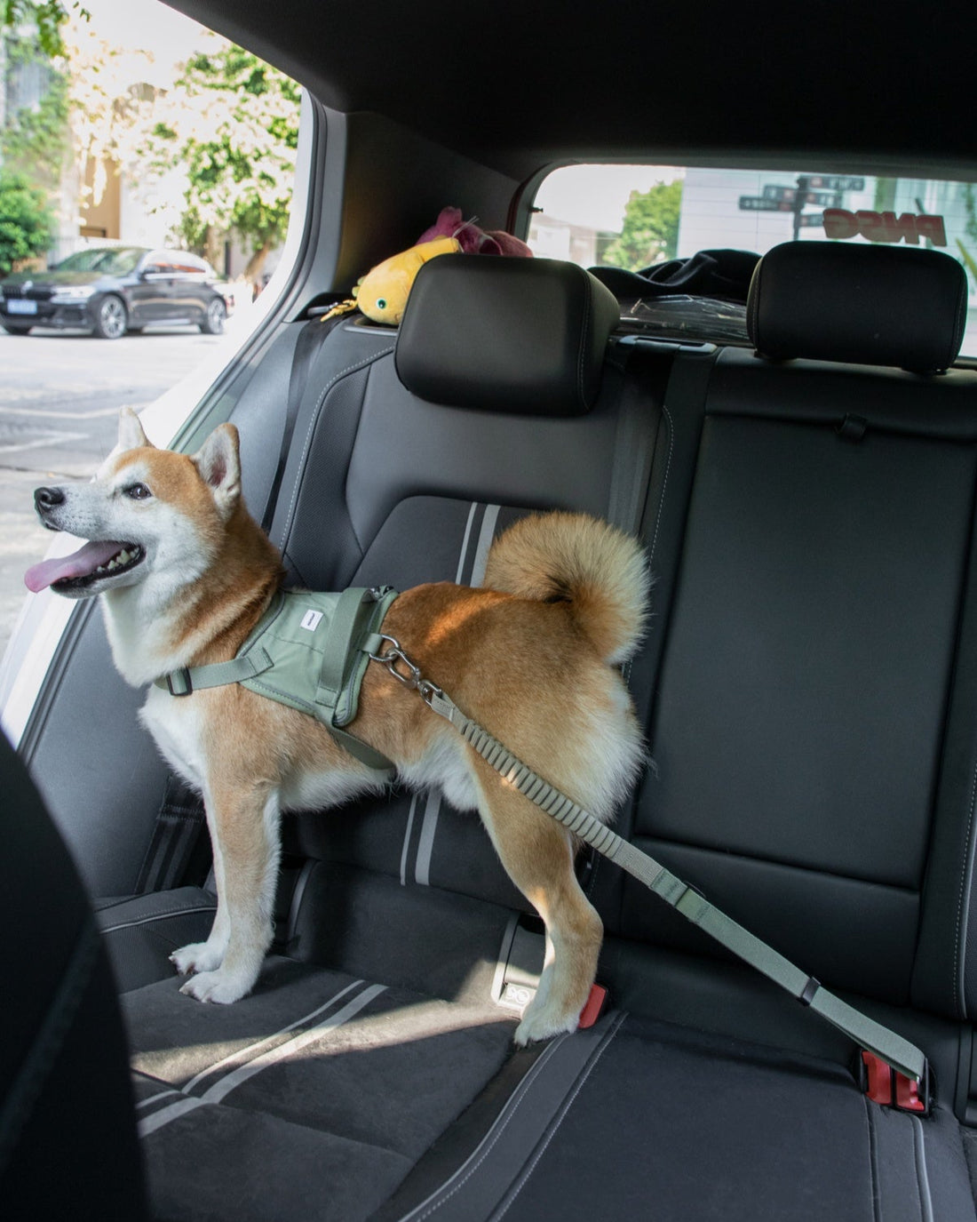 Multipurpose Car Seat Belt