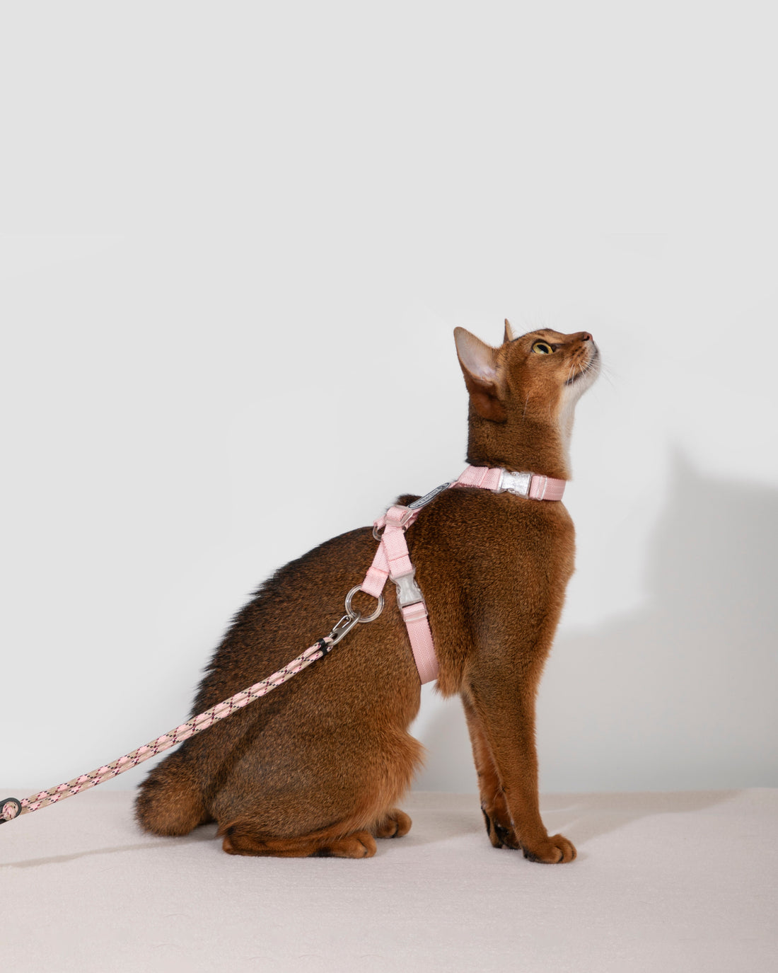 BOBO Series Freedom Explorer Cat Harness and Leash Walk Set