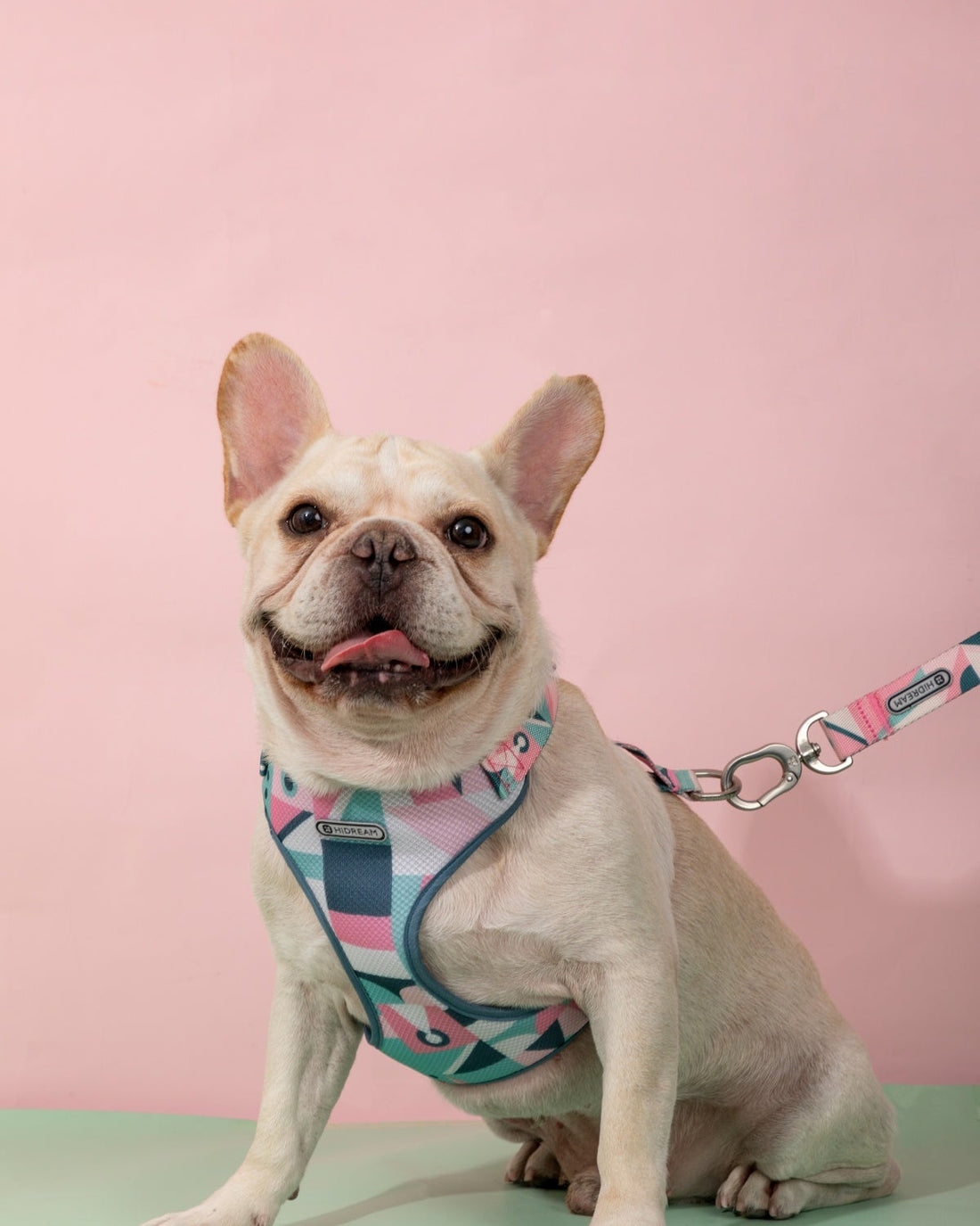 Castle Series Lightweight Vest Harness