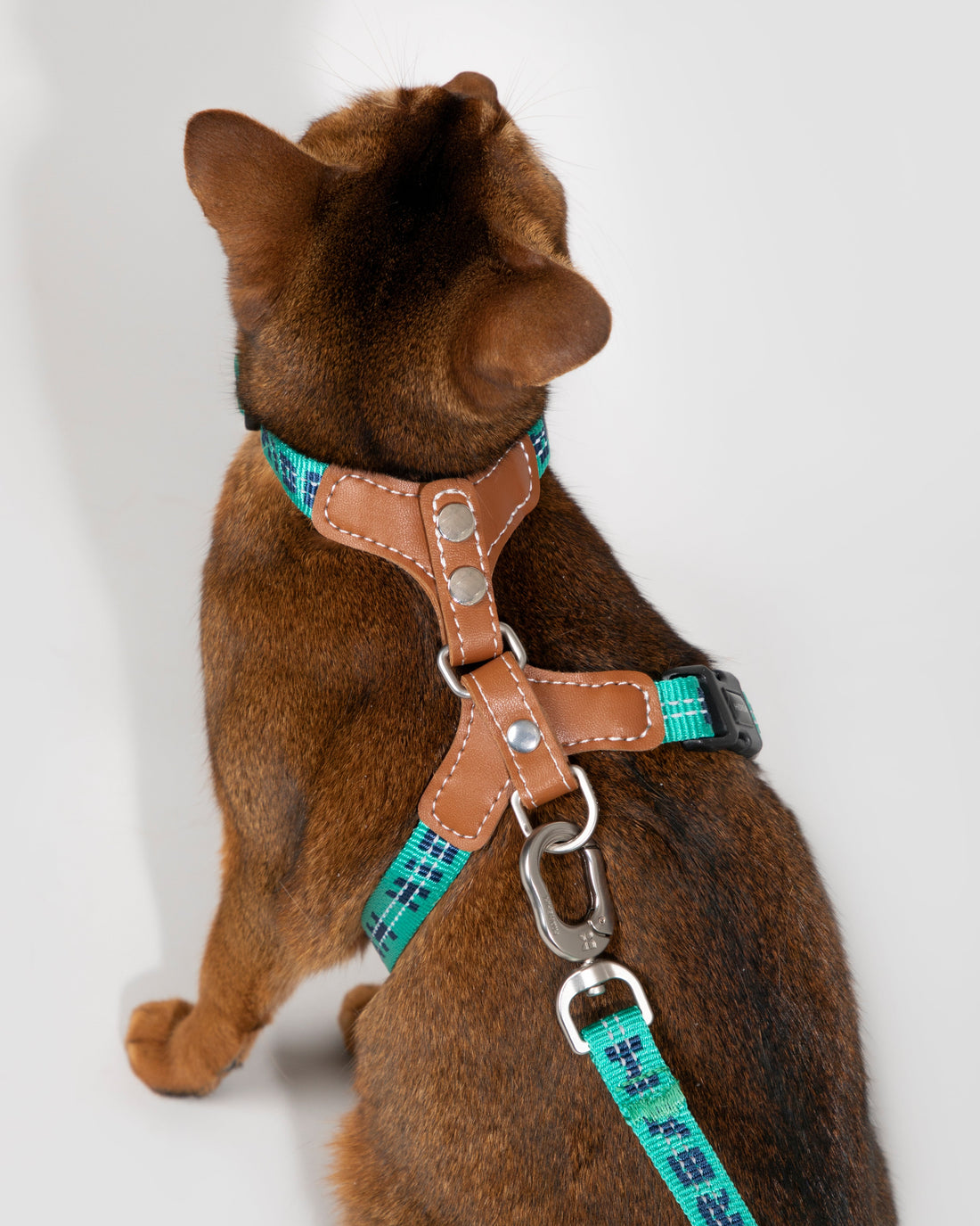 BOBO Series Reflective Leather Cat Harness and Leash Walk Set