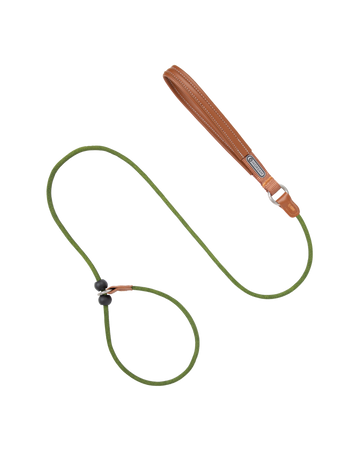 BOBO Series Leather Handle One-Piece Leash