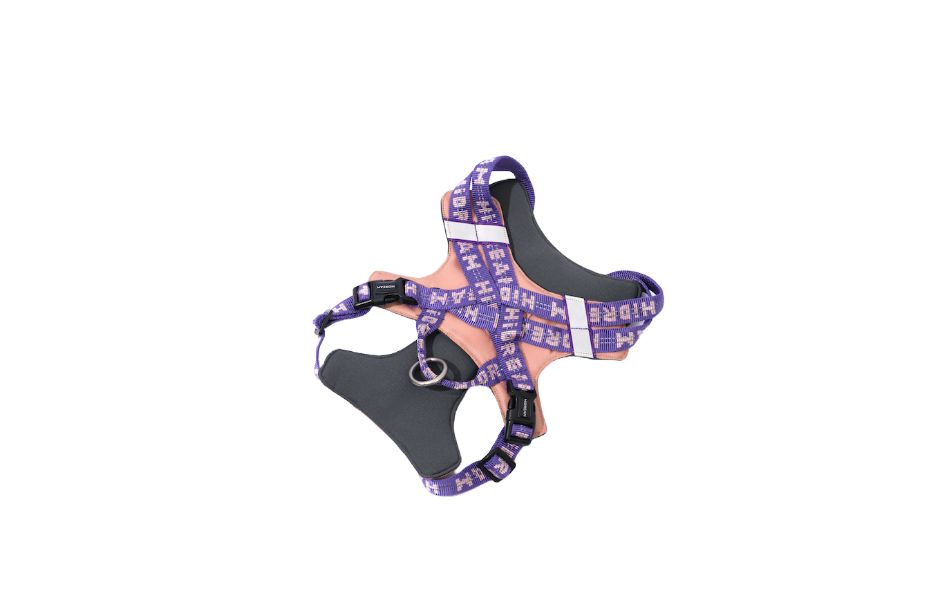 BOBO Series Wrap-Style Adjustable Dog Harness