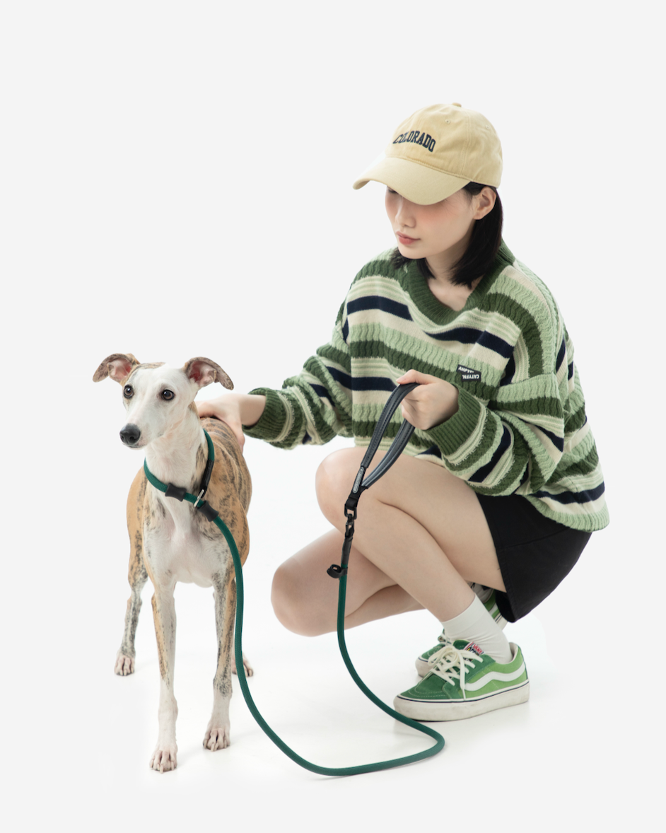 BOBO Series Leather Handle One-Piece Dog Training Leash
