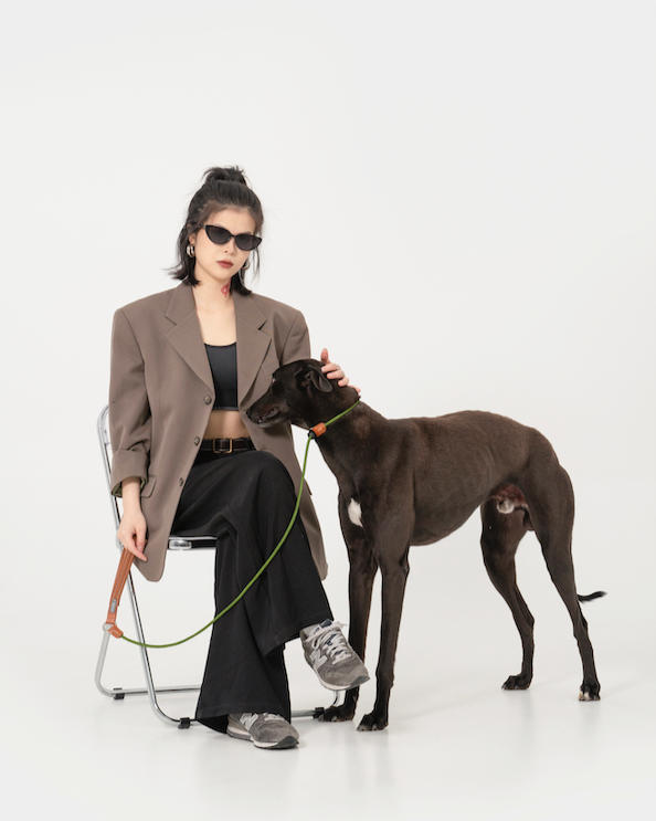 BOBO Series Leather Handle One-Piece Leash
