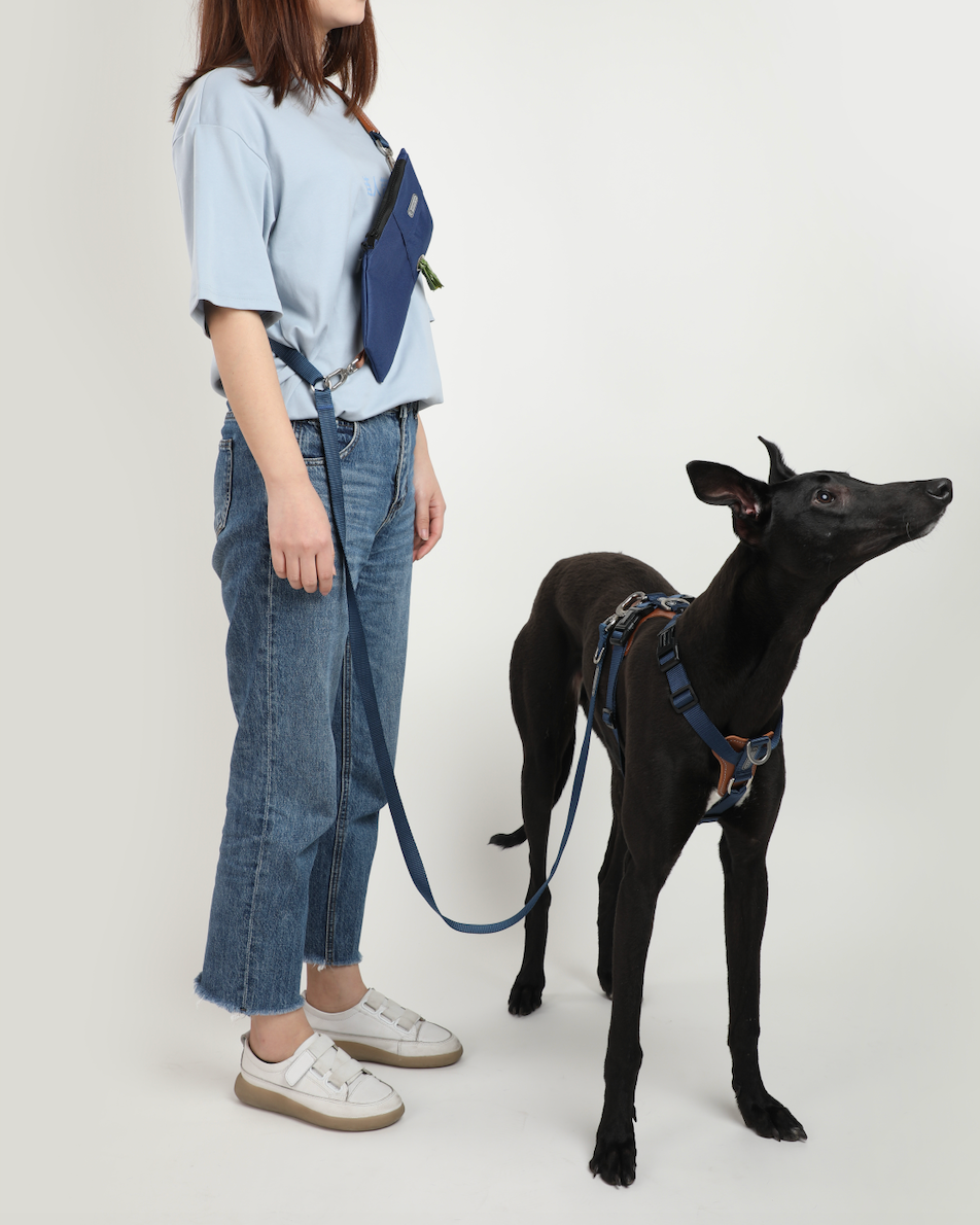 BOBO Series Hands-Free Multifunctional Adjustable Crossbody Dog Leash