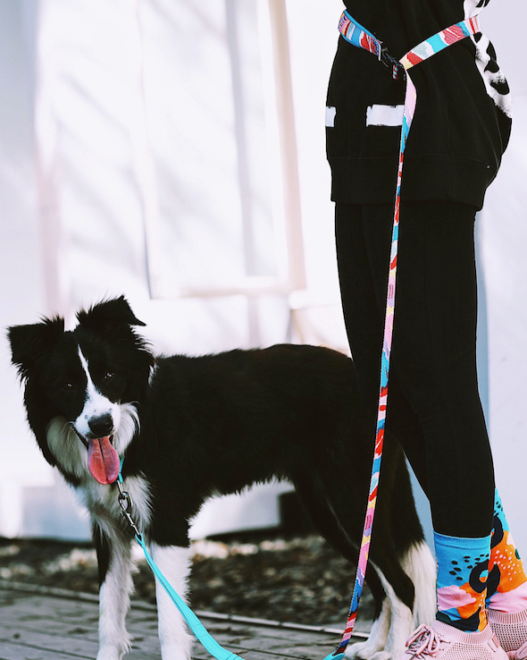 Vibrant PRO Series Hands-Free Multifunctional Adjustable Crossbody Dog Leash
