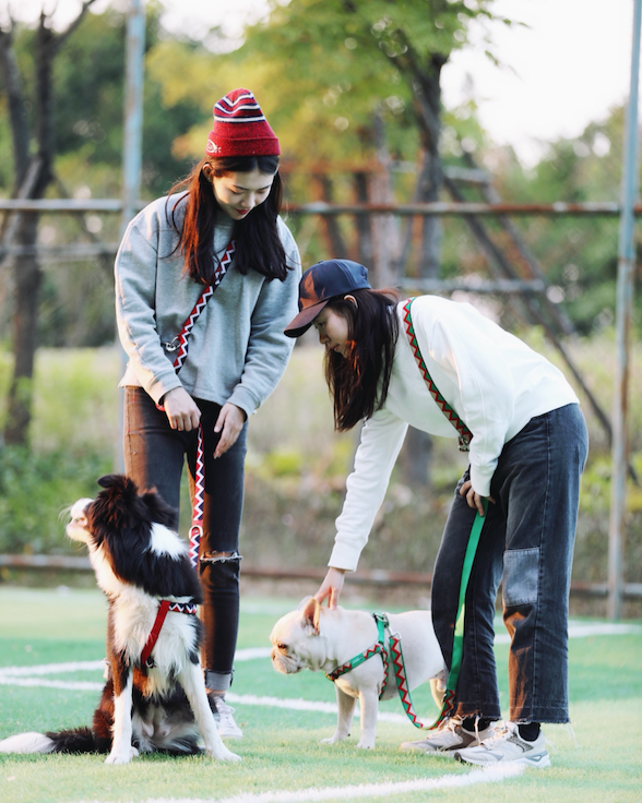 Rainbow Series Hands-Free Multifunctional Adjustable Crossbody Dog Leash