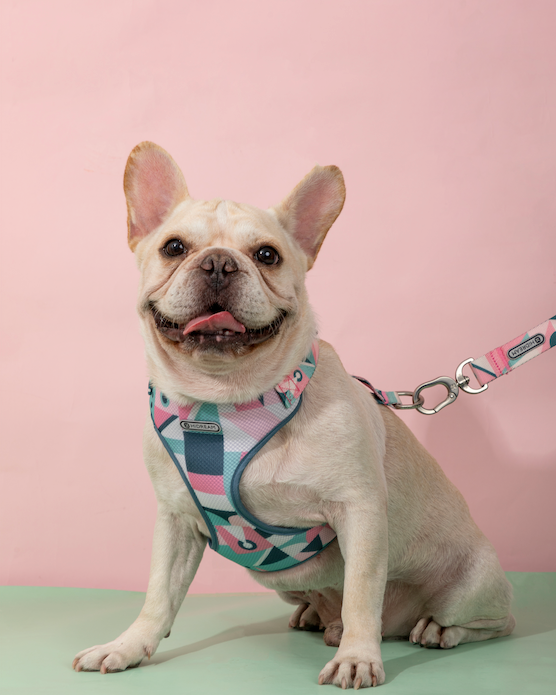 Castle Series Soft Handle Dog Leash