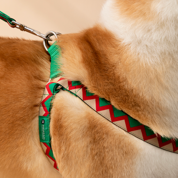 Rainbow Series Y-Shaped Dog Harness