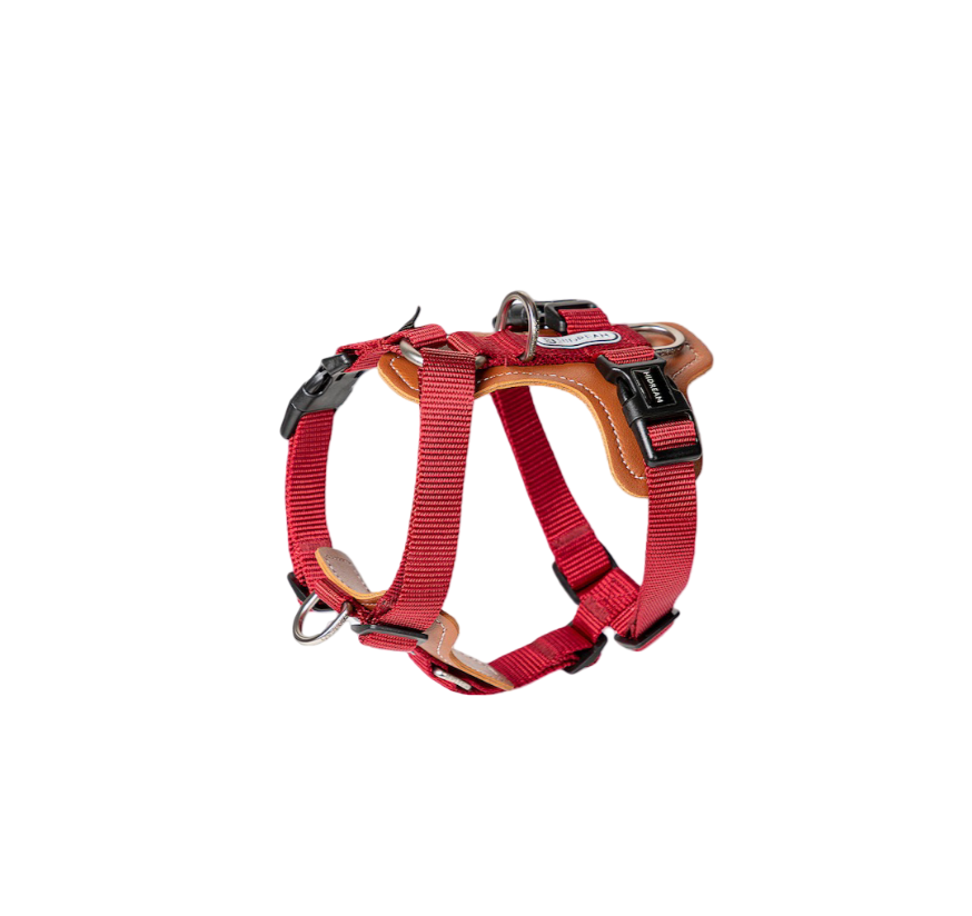 BOBO Series H-Shaped Dog Harness
