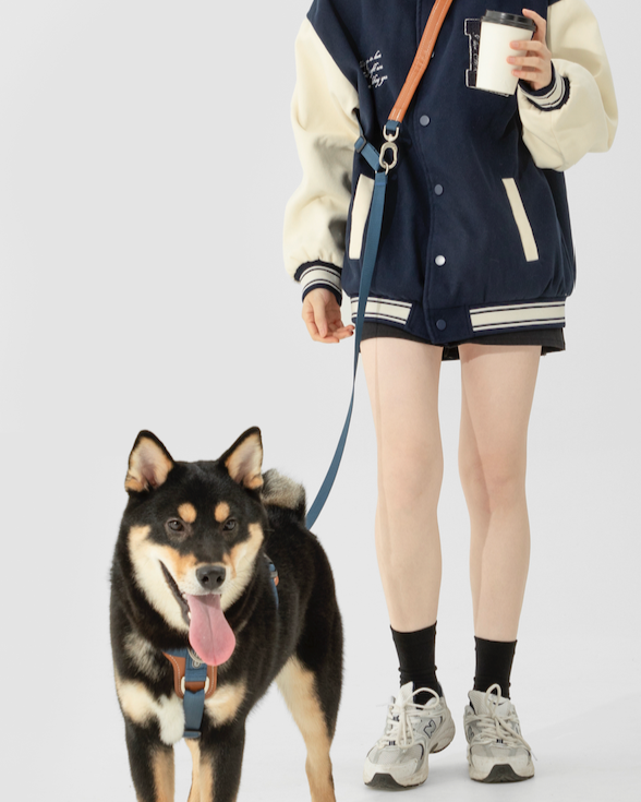 BOBO Series Hands-Free Walking Set