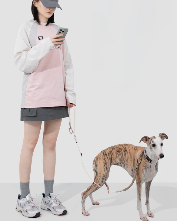 Valley Series Hands-Free Walk Set (Collar)