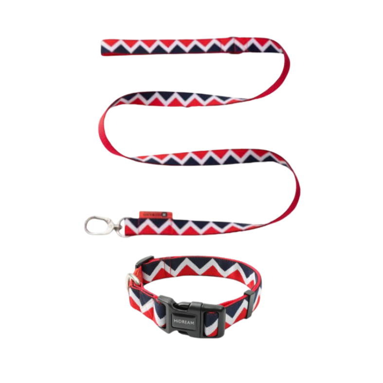 Rainbow Series Walk Set (Collar)
