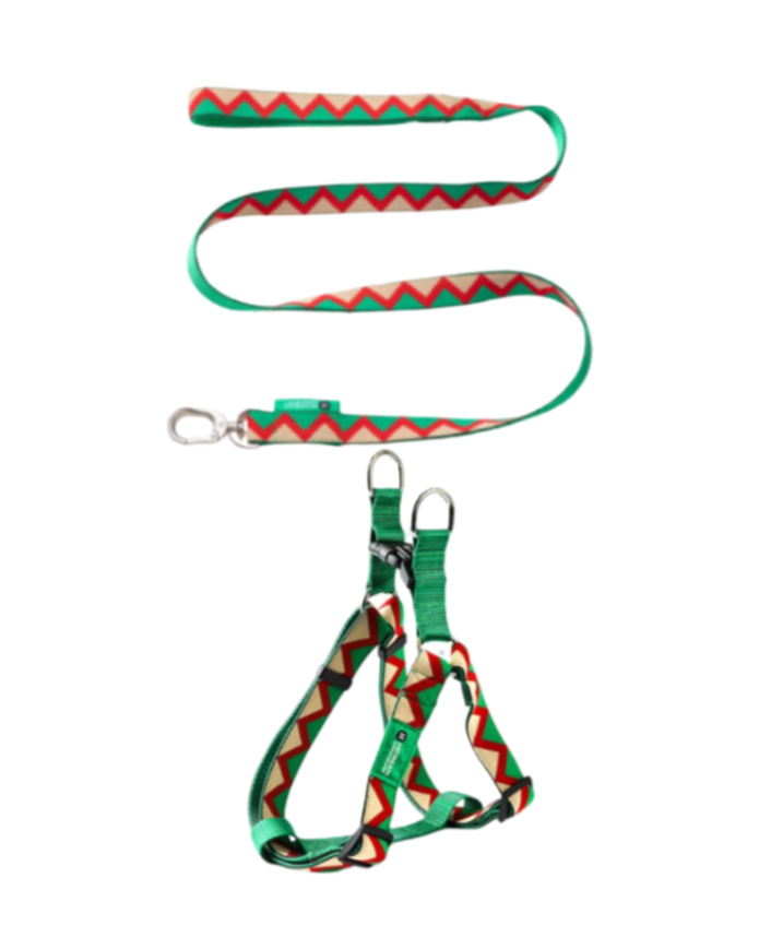 Rainbow Series Walk Set (Harness)