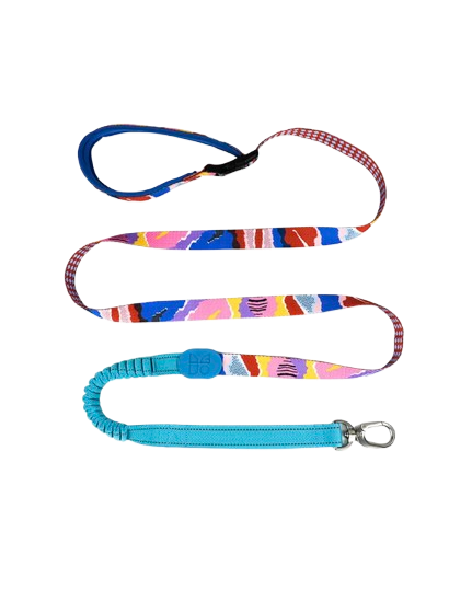Vibrant PRO Series Hands-Free Multifunctional Adjustable Crossbody Dog Leash