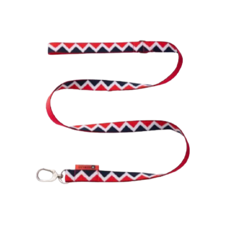 Rainbow Series Dog Leash