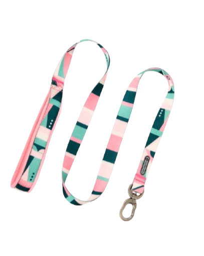 Castle Series Soft Handle Dog Leash
