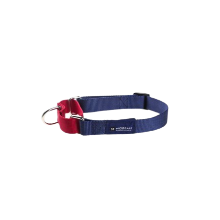 Rainbow Series Contrasting Colors Buffer Dog Collar